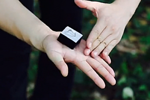 3DX 树叶 戒指盒幻变 花瓣 硬币幻变