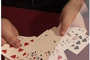 魔术教学 半自动流程 1-4 by Dani DaOrtiz 全中文翻译 神作