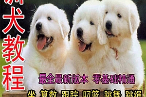 金毛泰迪训犬训狗教程视频 宠物幼犬训练视频教材书 狗狗训练视频