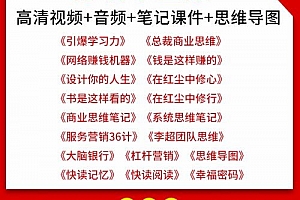精品2018苏引华大脑银行总裁商业团队思维导图企业管理视频全集
