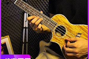 尤克里里视频教程合集新手入门到精通全套零基础自学训练教学视频