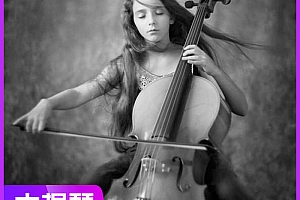 大提琴视频教程合集新手入门到精通全套零基础自学训练教学视频