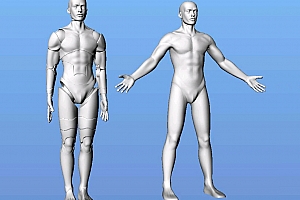 B 人体男全身建模犀牛 三维模型  adam-78_closed_polysurfaces_in_rhino