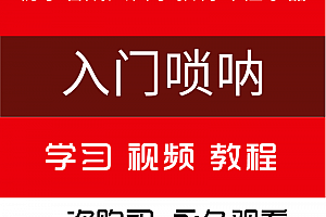 【入门唢呐】零基础零起步初学者成人自学新手课程乐器教材