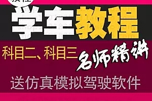 轻松考驾照汽车考试通关视频教学 多套小车C1驾驶教程