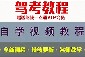 新版驾照考试C1技巧视频教程