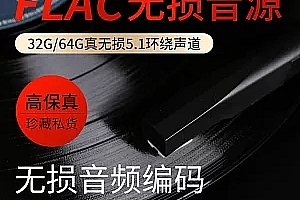汽车载无损音乐FLAC格式歌曲包网盘下载流行经典DJ华语MP3热门