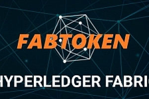 学习Hyperledger Fabric 实战联盟链-深入掌握区块链联盟币技术