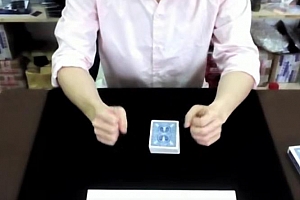 巴格拉斯效果 中文教学