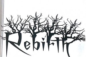 总结的二十项心灵魔术