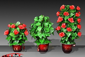 遥控盆花自开 魔术道具在线教学