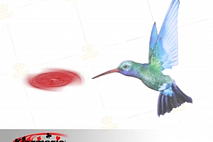 飞旋扑克 魔术道具在线教学