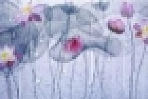 2020“画意中国”摄影大展征稿