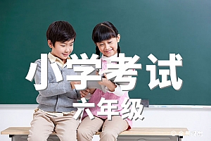 六年级>信息技术试卷