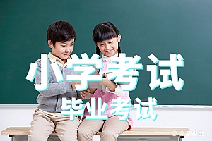 小学毕业考试>信息技术试卷