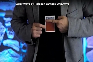 Color Wave by Harapan Santoso Ong