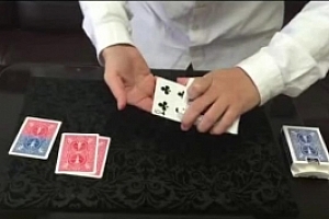 色源感染Coloar Change Deck-JOJO