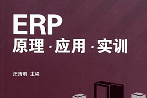 ERP原理与实施