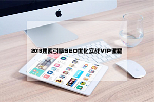 2019搜索引擎SEO优化实战VIP课程