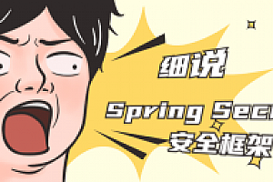 细讲Spring Security安全框架课程