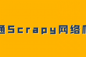精通Scrapy网络爬虫系列视频