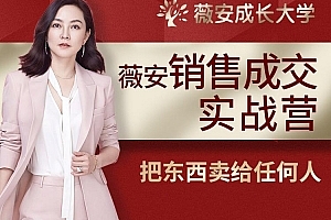 薇安28天销售高手训练营