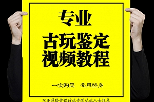 古玩收藏鉴定技巧鉴定视频教程合集瓷器青铜玉器书画刺绣陶瓷全套